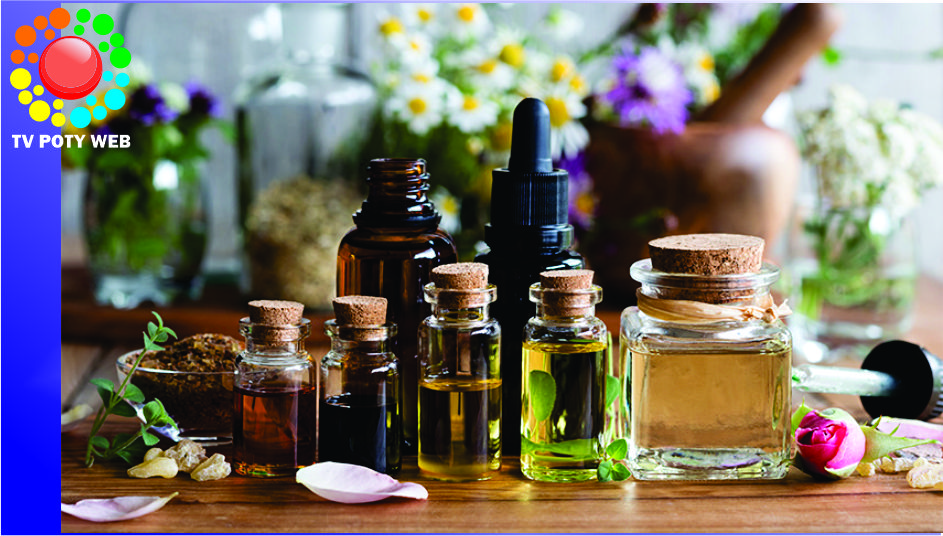 Farmácia Viva – alternativa na medicina