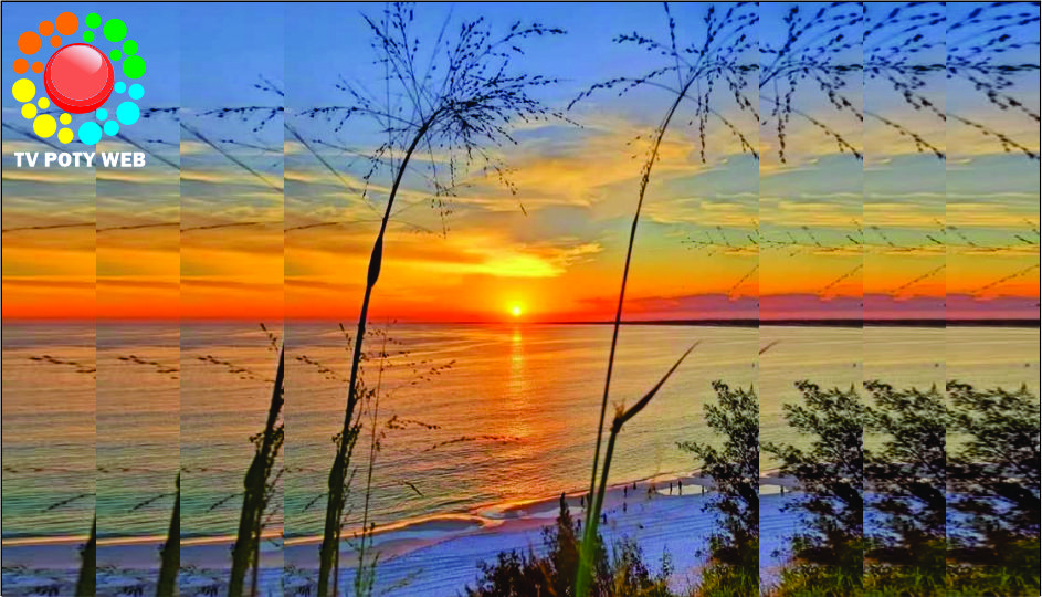 Poesia do esplendor by Loiola Campos