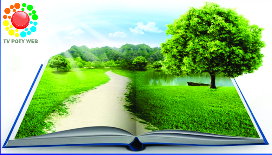 Como a energia limpa aumenta o valor de mercado das empresas?