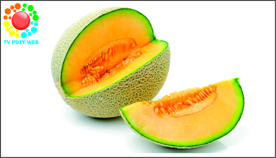 Você sabia que o maior produtor de melão do Brasil, fica no nordeste?