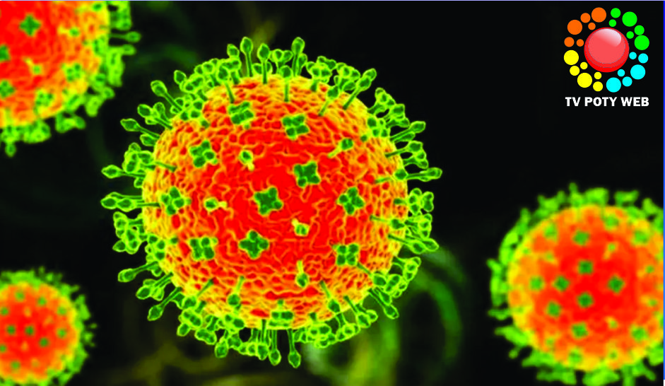 Nova pandemia? Índia entra em alerta após confirmar cinco casos do vírus letal Nipah.