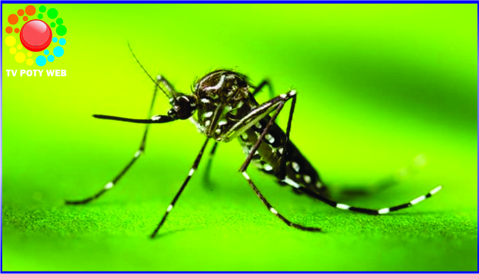 Alô Teresina: FMS convoca crianças para vacinação contra a dengue