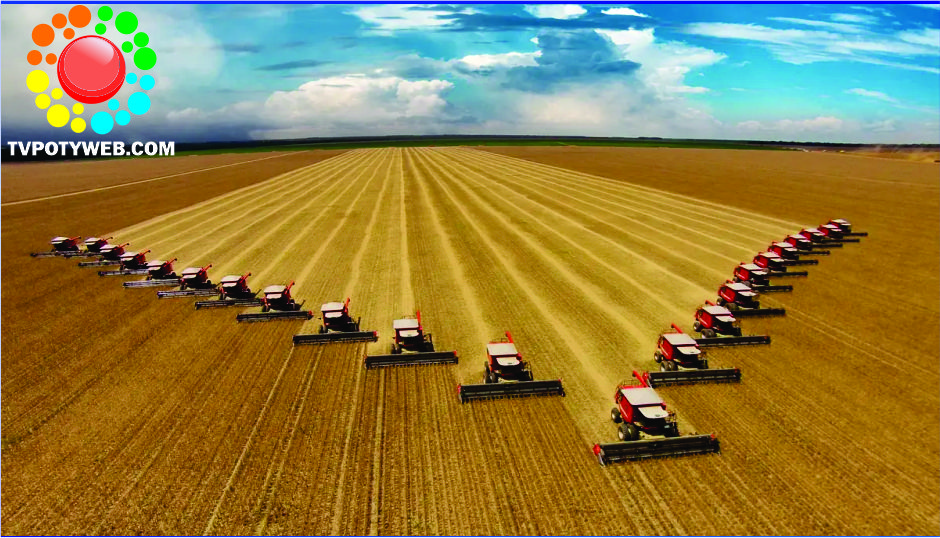 Nordeste produzirá 28,3 milhões/tons. de grãos em 2026. Piauí lidera.